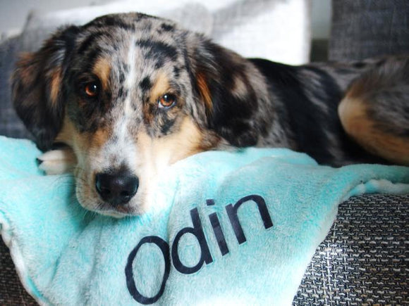 Odin weiß jetzt immer, welche Decke seine ist!