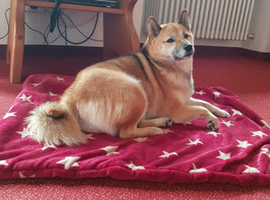 Ein neuer Star in unserem Blog!