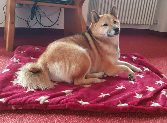 Ein neuer Star in unserem Blog!