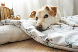 Softshell Hundedecke Faultiere
