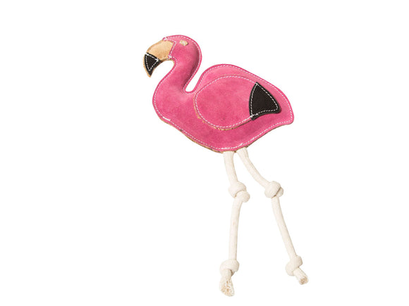 Flamingo Franz