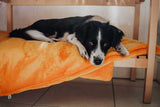 Kuschelfleece Hundedecke Uni - Ocker 100x150cm