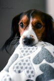 Kuschelfleece Hundedecke Herz, grau 100x150cm